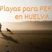 Playas para perros en la Provincia de Huelva 2021
