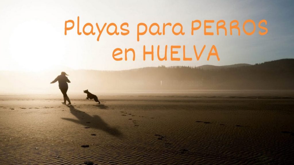 playas de perros en la provincia de Huelva 2021